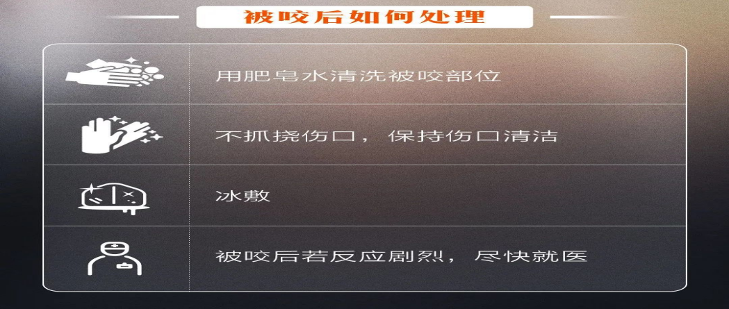 202412161744388403.Png